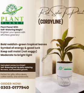 Plant-Planet-Fb-Posts-3-22-7-2025