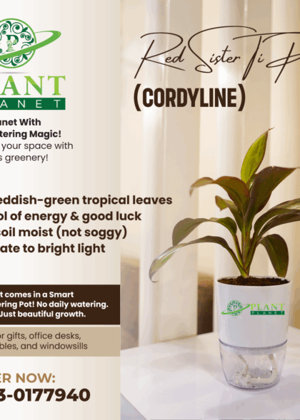 Plant-Planet-Fb-Posts-3-22-7-2025